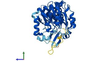 Protein Structure (PS) image for Crystallin, Zeta, Homolog (AA 1-349) protein (His tag) (ABIN7551133)
