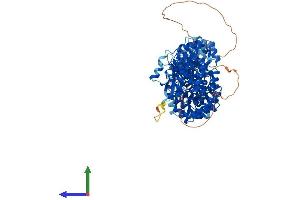 AlphaFold protein structure predicition of Human Recombinant ARMC3 Protein, UniprotID Q5W041 (ARMC3 Protein (AA 1-872) (His tag))