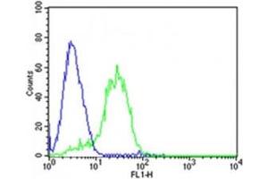 Flow cytometric analysis of HepG2 cells using DLK1 antibody (green) compared to an isotype control (blue). (DLK1 抗体  (C-Term))