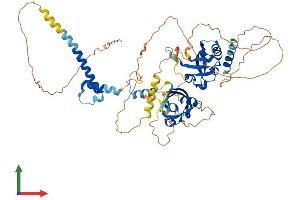 Protein Structure (PS) image for Aryl Hydrocarbon Receptor Nuclear Translocator-Like (ARNTL) (AA 1-632) protein (His tag) (ABIN7565203)