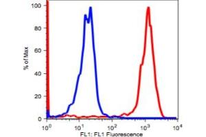 Image no. 2 for anti-CD14 (CD14) antibody (ABIN2704169) (CD14 抗体)