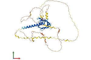 Protein Structure (PS) image for Pleckstrin Homology-Like Domain, Family A, Member 1 (PHLDA1) (AA 1-405) protein (His tag) (ABIN7557785)