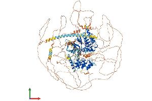AlphaFold protein structure predicition of Mouse Recombinant Tex14 Protein, UniprotID Q7M6U3