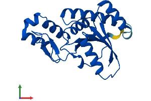 Protein Structure (PS) image for SSU72 RNA Polymerase II CTD Phosphatase Homolog (SSU72) (AA 1-194) protein (His tag) (ABIN7546467)