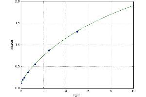 Matrix Metallopeptidase 17 (Membrane-inserted) (MMP17) ELISA Kit