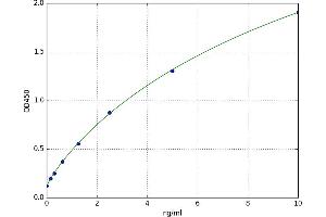 A typical standard curve (MMP17 ELISA 试剂盒)