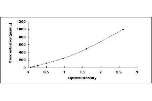 Typical standard curve (S100A6 ELISA 试剂盒)