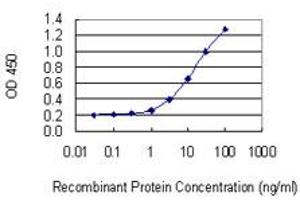 Detection limit for recombinant GST tagged FAM65B is 0. (FAM65B 抗体  (AA 1-591))
