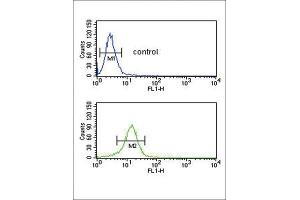 Flow Cytometry (FACS) image for anti-Collagen, Type V, alpha 2 (COL5A2) antibody (ABIN3003163) (COL5A2 抗体)