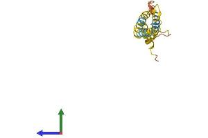 Protein Structure (PS) image for OCIA Domain Containing 2 (OCIAD2) (AA 1-154) protein (His tag) (ABIN7561138)