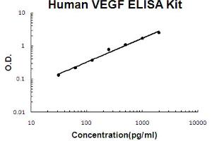 Human VEGF Accusignal ELISA Kit Human VEGF AccuSignal ELISA Kit standard curve. (VEGF ELISA 试剂盒)
