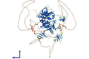 Protein Structure (PS) image for rho GTPase Activating Protein 12 (ARHGAP12) (AA 1-846) protein (His tag) (ABIN7551352)