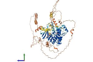Protein Structure (PS) image for Mitogen-Activated Protein Kinase 6 (MAPK6) (AA 1-721) protein (His tag) (ABIN7554581)