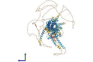 Protein Structure (PS) image for Sterol Regulatory Element Binding Transcription Factor 2 (SREBF2) (AA 1-1141) protein (His tag) (ABIN7555603)