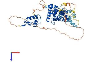 NR2F1 Protein (AA 1-422) (His tag)