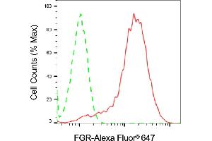Flow cytometric analysis of FGR expression in Raji cells using FGR antibody (ABIN7798693), 1:2,000). (Recombinant Fgr 抗体)