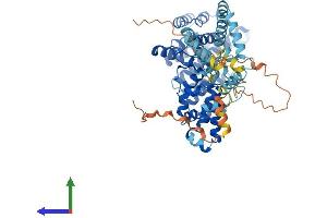Protein Structure (PS) image for Suppression of Tumorigenicity 7 Like (ST7L) (AA 1-575) protein (His tag) (ABIN7544033)