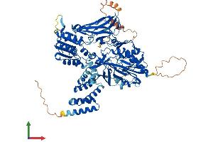 Protein Structure (PS) image for F-Box Protein 11 (FBXO11) (AA 1-845) protein (His tag) (ABIN7552280)