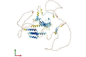 Protein Structure (PS) image for Cytoskeleton Associated Protein 2 (CKAP2) (AA 1-683) protein (His tag) (ABIN7553383)