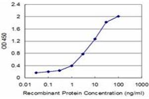 Detection limit for recombinant GST tagged CKMT1B is approximately 0. (CKMT1B 抗体  (AA 327-417))