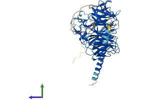 Protein Structure (PS) image for Coronin, Actin Binding Protein, 1B (CORO1B) (AA 1-484) protein (His tag) (ABIN7556283)