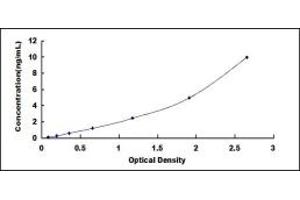 Typical standard curve (IBA57 ELISA 试剂盒)