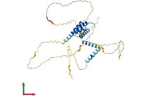 AlphaFold protein structure predicition of Human Recombinant MKX Protein, UniprotID Q8IYA7