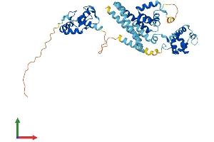Protein Structure (PS) image for Bifunctional Apoptosis Regulator (BFAR) (AA 1-450) protein (His tag) (ABIN7552583)