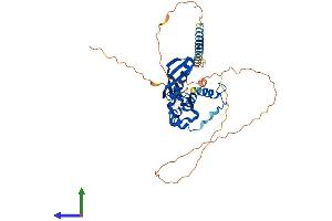 Protein Structure (PS) image for RAD52 Homolog (S. Cerevisiae) (RAD52) (AA 1-420) protein (His tag) (ABIN7563263)