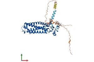 AlphaFold protein structure predicition of Human Recombinant ZDHHC11B Protein, UniprotID P0C7U3