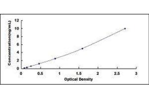 Protein Disulfide Isomerase Family A, Member 3 (PDIA3) ELISA Kit