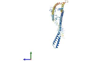 Protein Structure (PS) image for Tripartite Motif Containing 13 (TRIM13) (AA 1-407) protein (His tag) (ABIN7555827)