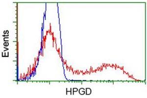 HEK293T cells transfected with either RC204160 overexpress plasmid (Red) or empty vector control plasmid (Blue) were immunostained by anti-HPGD antibody (ABIN2454273), and then analyzed by flow cytometry. (HPGD 抗体)
