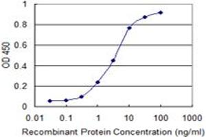 ELISA image for anti-RAD23 Homolog B (RAD23B) (AA 311-410) antibody (ABIN599426) (RAD23B 抗体  (AA 311-410))