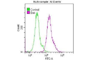 Flow Cytometry (FACS) image for anti-BCL2-Antagonist/killer 1 (BAK1) antibody (ABIN7127362)