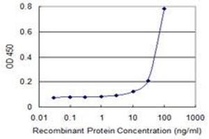 Detection limit for recombinant GST tagged ZKSCAN4 is 3 ng/ml as a capture antibody. (ZKSCAN4 抗体  (AA 1-545))