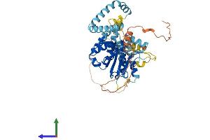 Protein Structure (PS) image for Patatin-Like phospholipase Domain Containing 3 (PNPLA3) (AA 1-481) protein (His tag) (ABIN7550739)