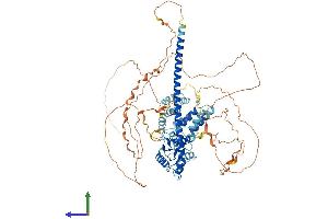AlphaFold protein structure predicition of Mouse Recombinant Ticam1 Protein, UniprotID Q80UF7