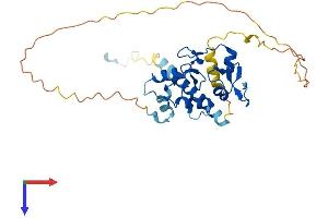ZFPL1 Protein (AA 1-310) (His tag)