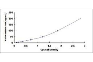 Typical standard curve (C3 ELISA 试剂盒)