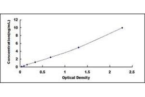 Typical standard curve (LMO7 ELISA 试剂盒)
