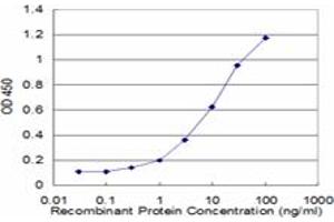Detection limit for recombinant GST tagged PTCH is approximately 0. (Patched 1 抗体  (AA 841-940))