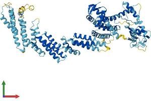 Protein Structure (PS) image for Cullin 2 (CUL2) (AA 1-745) protein (His tag) (ABIN7553611)