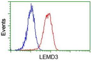 Flow cytometric Analysis of Hela cells, using anti-LEMD3 antibody (ABIN2453808), (Red), compared to a nonspecific negative control antibody, (Blue). (LEMD3 抗体)