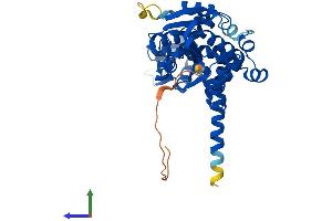 Protein Structure (PS) image for Acetylserotonin O-Methyltransferase (ASMT) (AA 1-387) protein (His tag) (ABIN7562084)