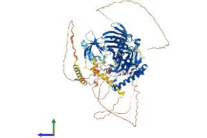 Protein Structure (PS) image for Oxysterol Binding Protein-Like 8 (OSBPL8) (AA 1-889) protein (His tag) (ABIN7562073)