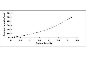 Typical standard curve (IFI44 ELISA 试剂盒)