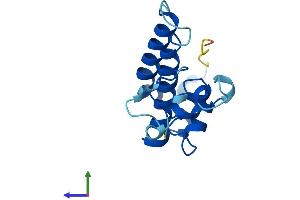 Protein Structure (PS) image for BUD31 Homolog (BUD31) (AA 1-144) protein (His tag) (ABIN7552712)