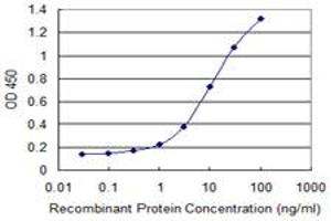 Detection limit for recombinant GST tagged PUF60 is 0. (PUF60 抗体  (AA 1-516))