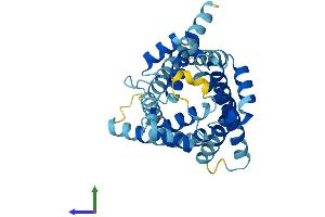 Protein Structure (PS) image for Solute Carrier Family 25 (Mitochondrial Thiamine Pyrophosphate Carrier), Member 19 (SLC25A19) (AA 1-318) protein (His tag) (ABIN7561235)